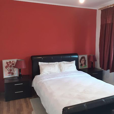 Apartament Cu 3 Camere La Poala Muntilor Fagaras Victoria  Ngoại thất bức ảnh