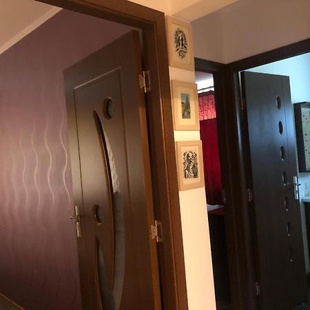 Apartament Cu 3 Camere La Poala Muntilor Fagaras Victoria  Ngoại thất bức ảnh
