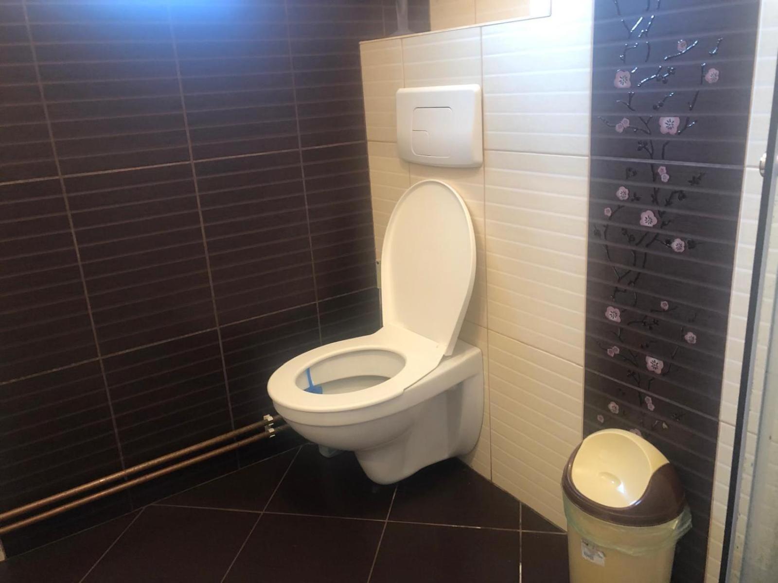 Apartament Cu 3 Camere La Poala Muntilor Fagaras Victoria  Ngoại thất bức ảnh