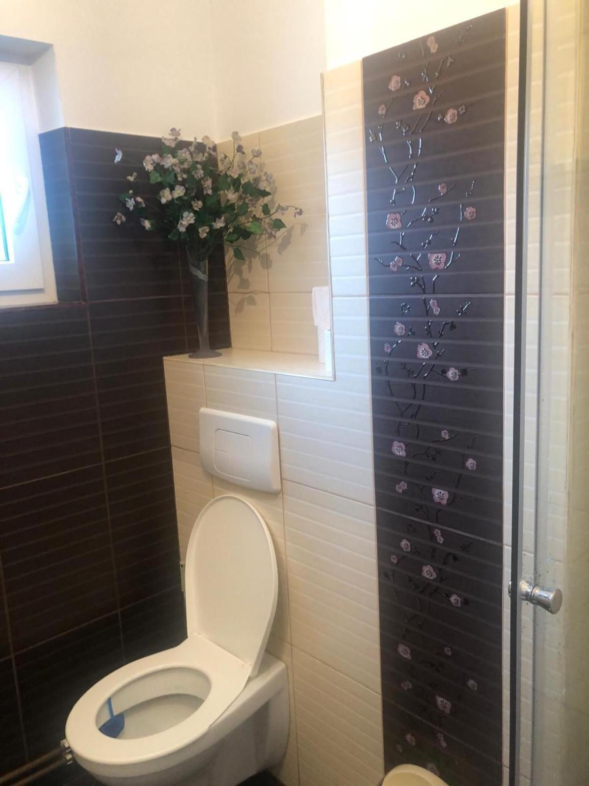 Apartament Cu 3 Camere La Poala Muntilor Fagaras Victoria  Ngoại thất bức ảnh
