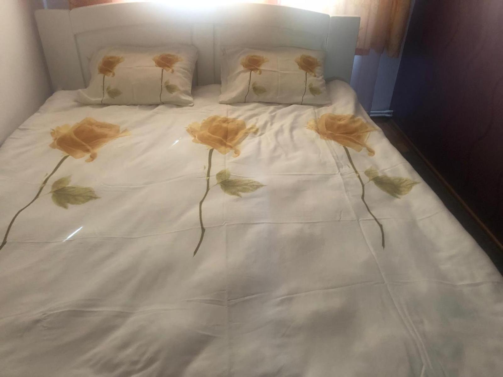Apartament Cu 3 Camere La Poala Muntilor Fagaras Victoria  Ngoại thất bức ảnh