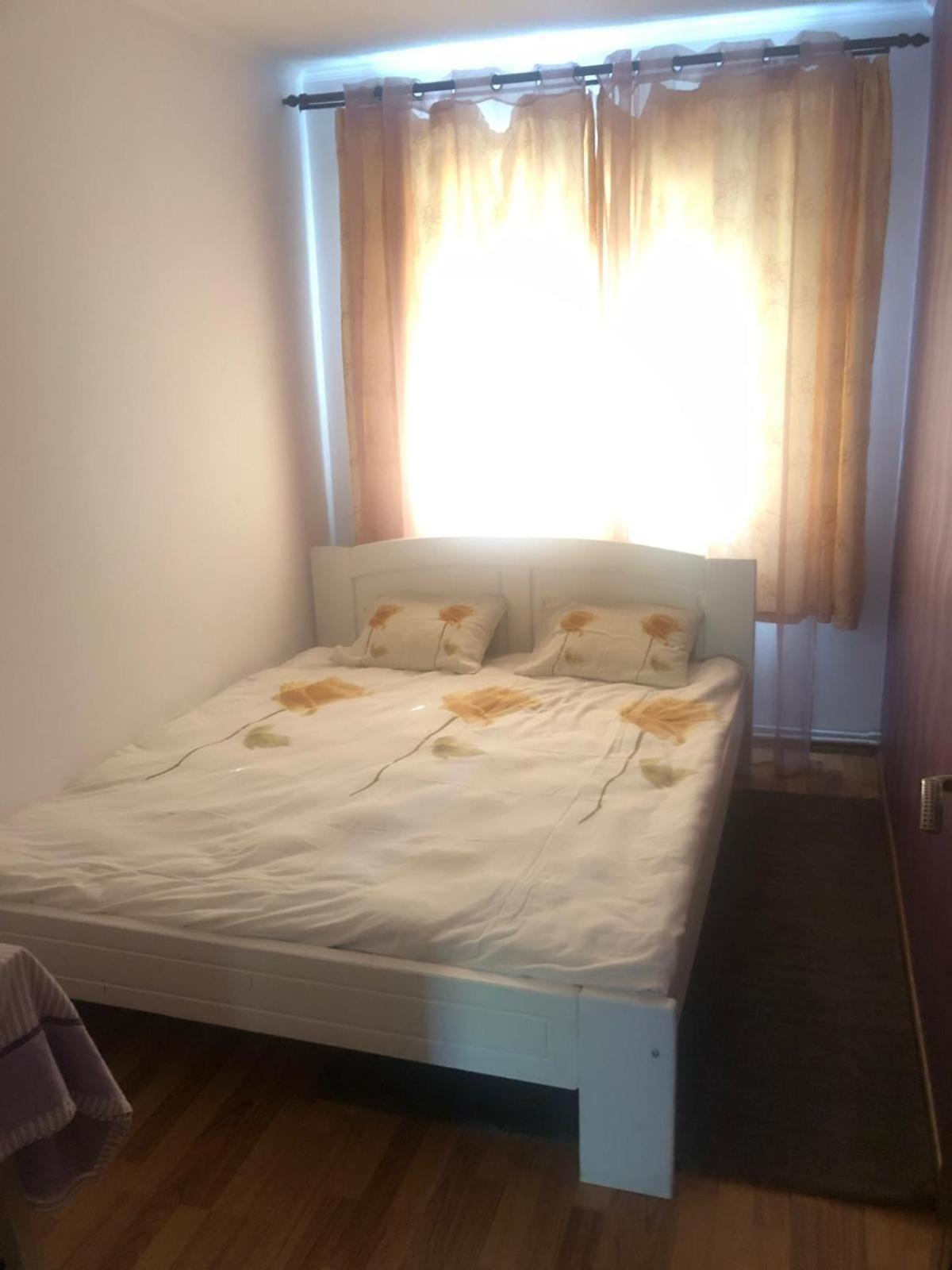 Apartament Cu 3 Camere La Poala Muntilor Fagaras Victoria  Ngoại thất bức ảnh